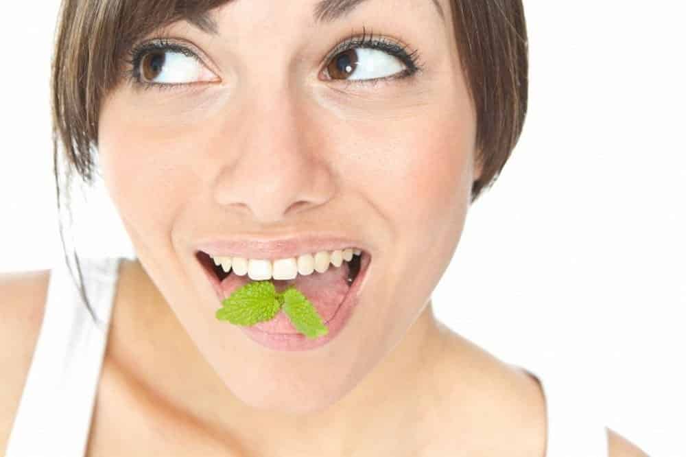 Иные действенные средства, удаляющие чесночный запах | Как избавиться от запаха чеснока изо рта