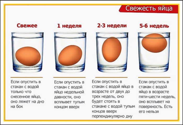Как правильно хранить яйца | Как хранить яйца без холодильника
