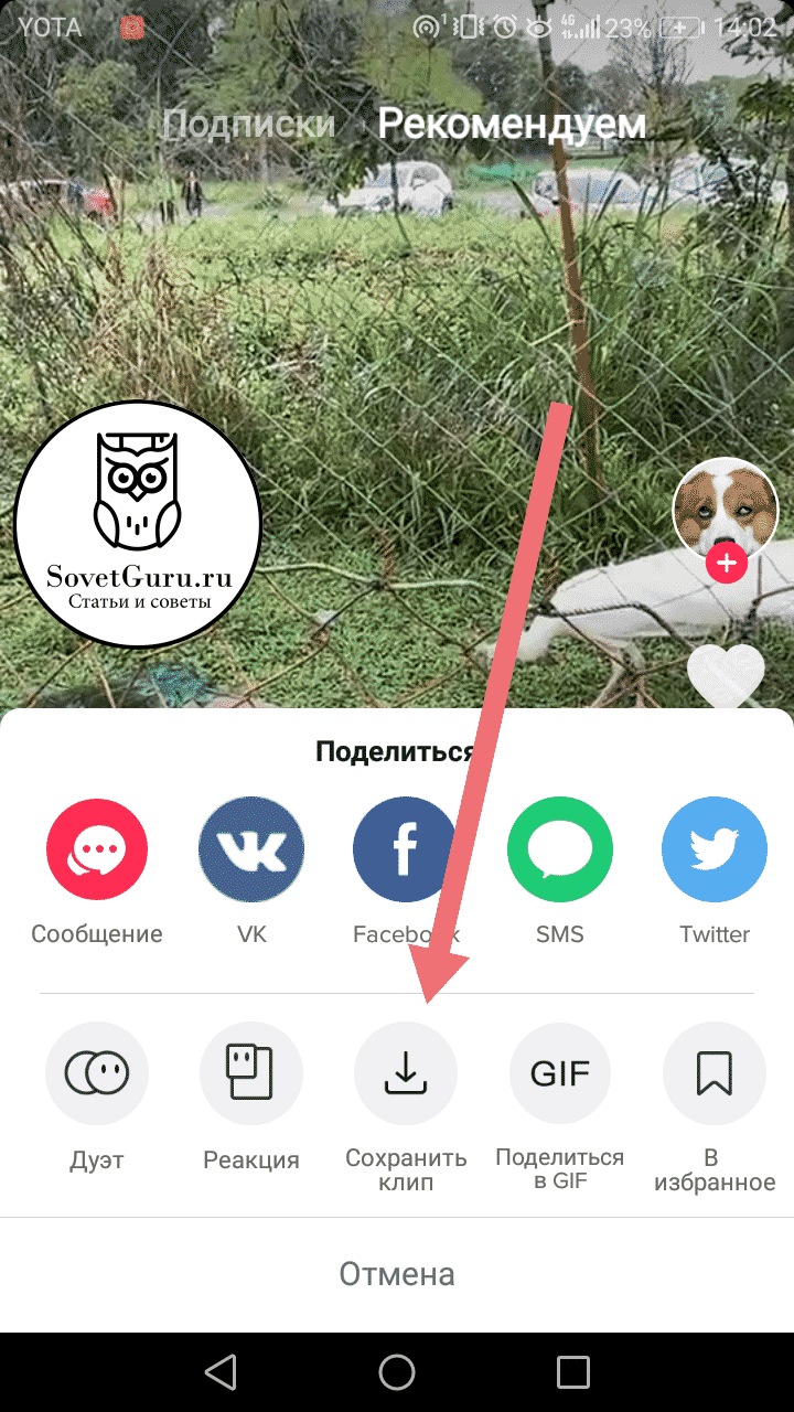 Как сохранить видео из Тик Ток на телефон
